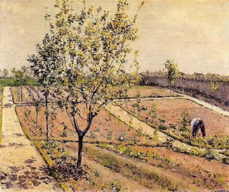 Gustave Caillebotte Kitchen Garden, Petit Gennevilliers - Alaya Gallery