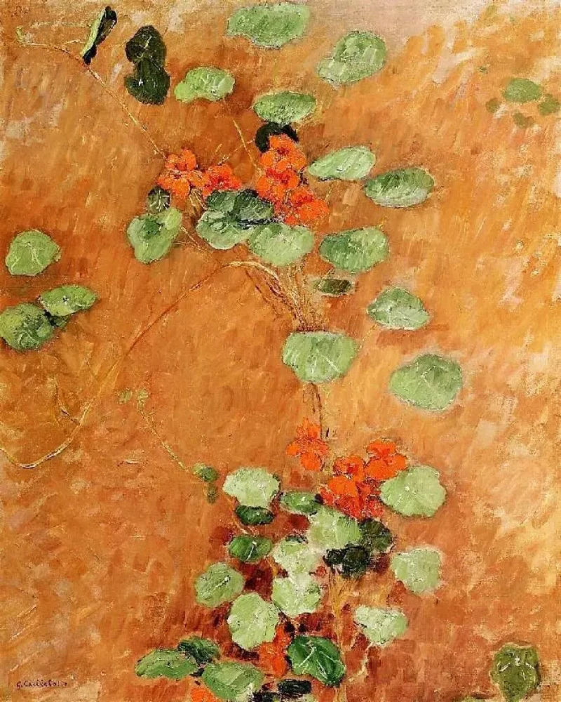 Gustave Caillebotte Nasturtiums - Alaya Gallery