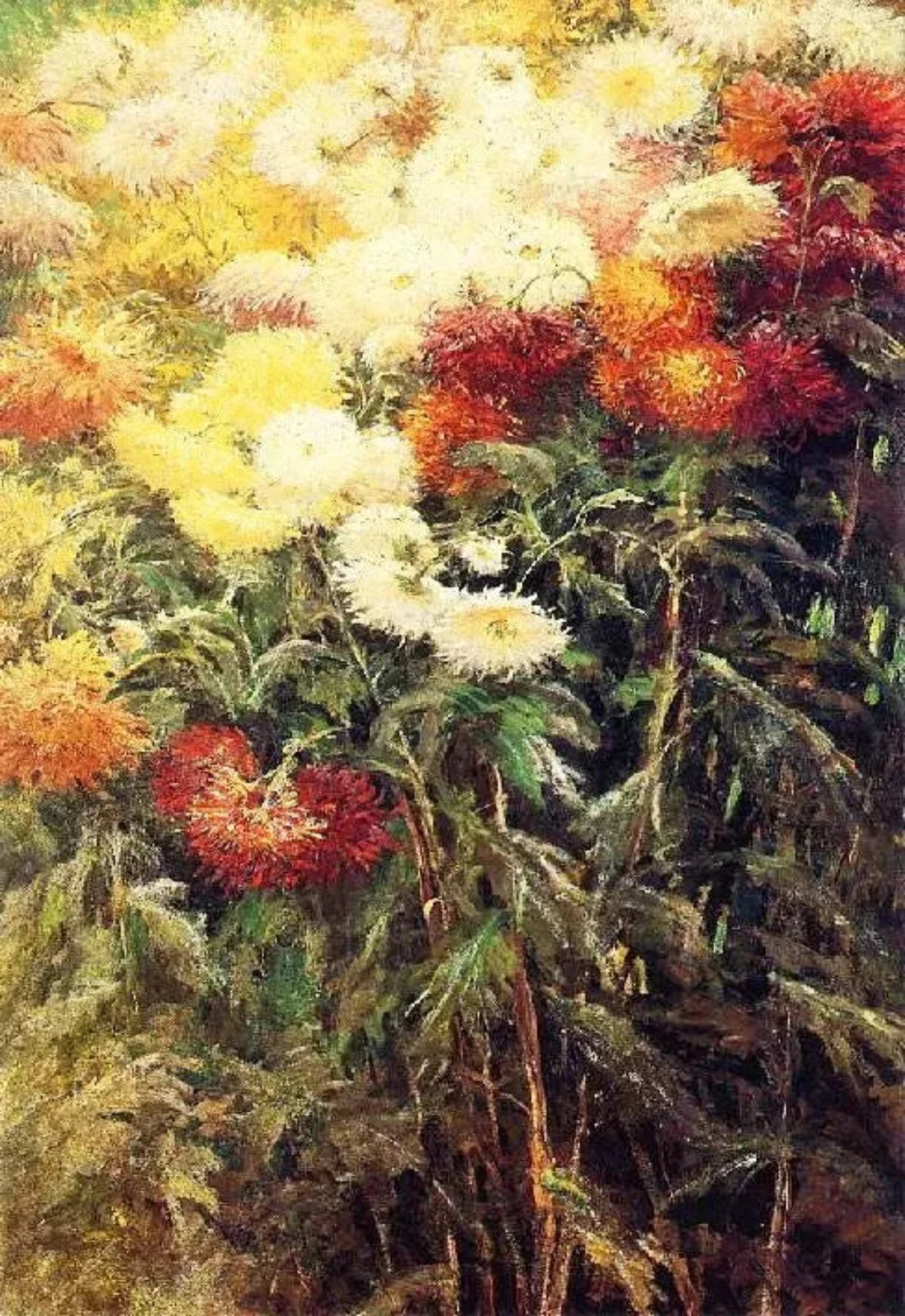 Gustave Caillebotte Chrysanthemums, Garden at Petit Gennevilliers - Alaya Gallery