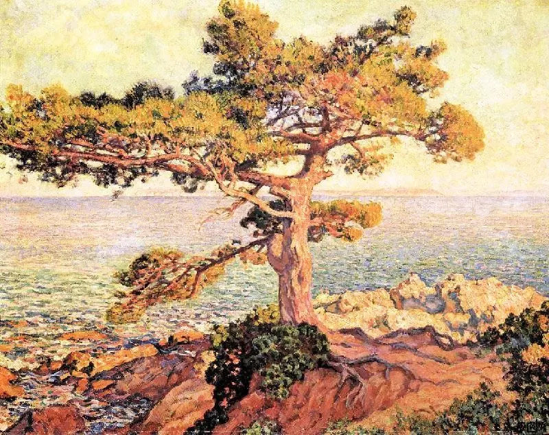 Theo van Rysselberghe Pine by the Mediterranean Sea - Alaya Gallery