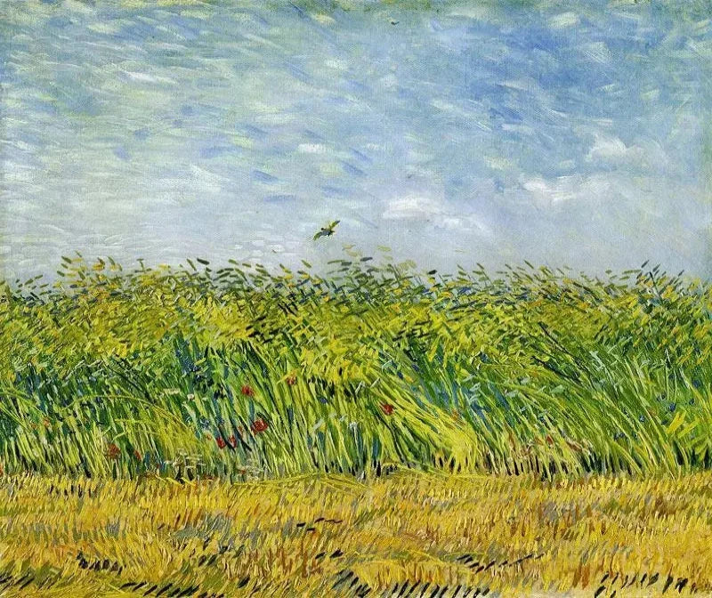 Vincent van Gogh Wheatfield with Lark - Alaya Gallery