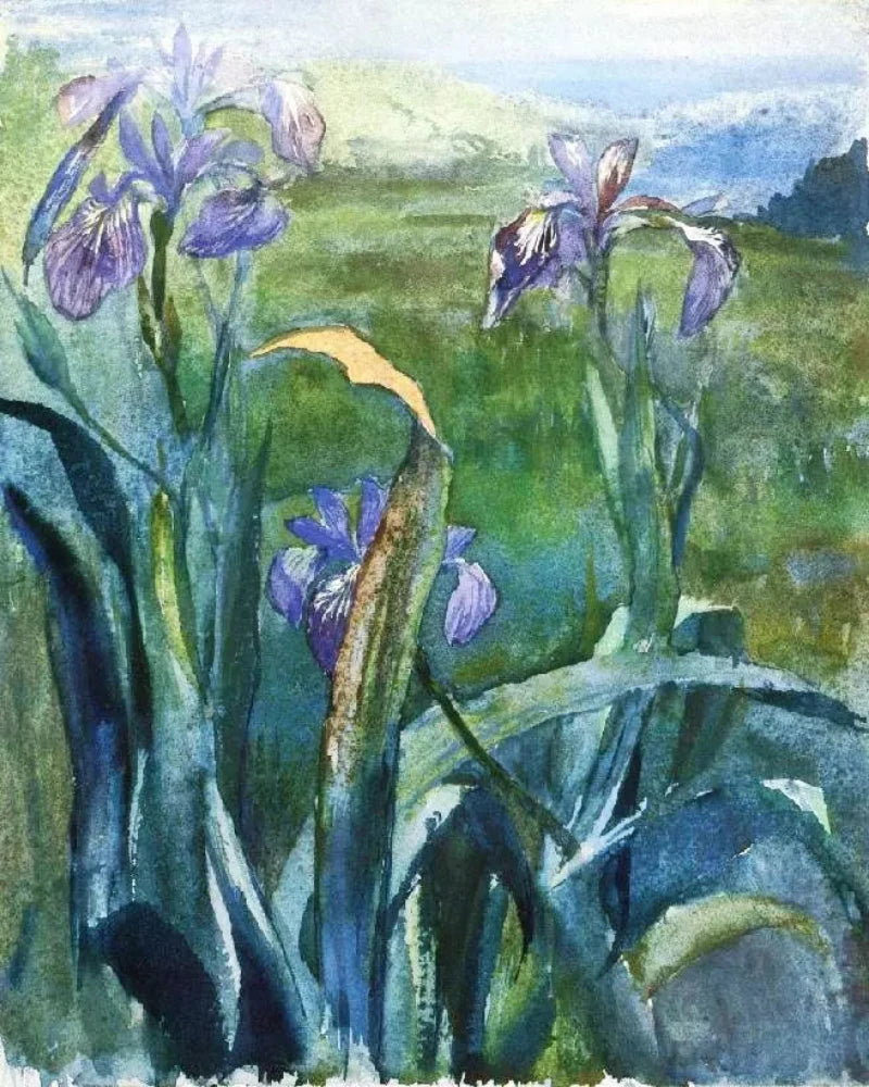 John La Farge Blue Iris, Study - Alaya Gallery