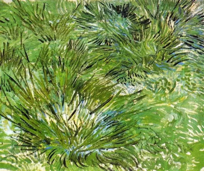 Vincent van Gogh Clumps of Grass - Alaya Gallery