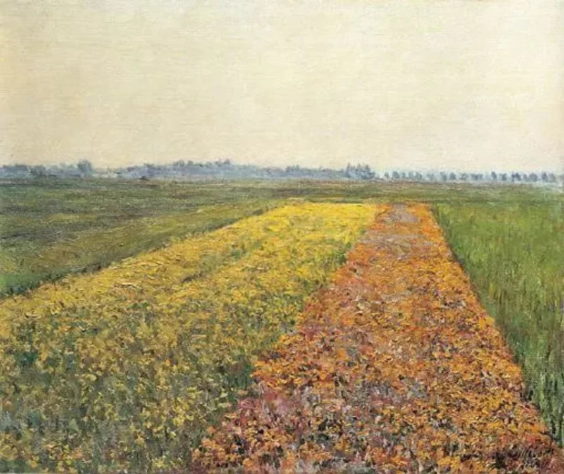 Gustave Caillebotte The Yellow Fields at Gennevilliers - Alaya Gallery